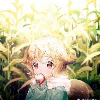 Ruler发文回应税务风波